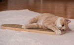 Tapis Sisal Chanvre Mural Chat — Griffoir Suspendu Naturel Anti-Effilochage 3