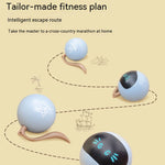 Balle Électrique Interactive Chat — Jouet Automatique Rotatif Stimulation 2
