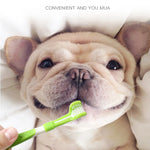 Brosse à Dents Silicone Doigt & Triple Tête Chien — Nettoyage Dentaire Complet 1