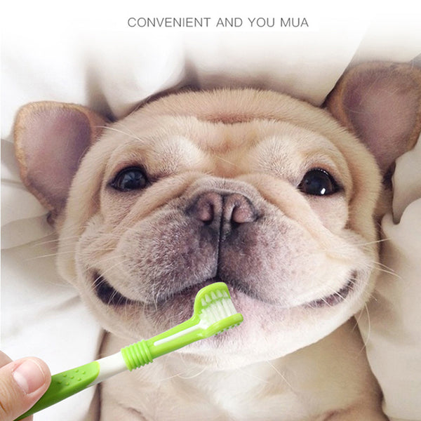 Brosse à Dents Silicone Doigt & Triple Tête Chien — Nettoyage Dentaire Complet