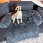 Lit Chien Moelleux — Coussin Confort Doux Repos Premium Toutes Saisons 7