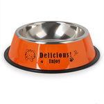 Gamelle Inox Chien — Bol Acier Inoxydable Antidérapant Hygiénique Durable 6
