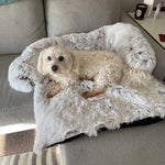 Lit Chien Moelleux — Coussin Confort Doux Repos Premium Toutes Saisons 5