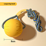 Kit Dressage Spécial Border Collie — Accessoires Entraînement Professionnel Chien 9