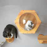 Arbre à Chat Bois Massif Luxe — Griffoir Tunnel Perchoir Premium Design 2
