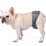 Culotte Physiologique Mâle Chien — Ceinture Anti-Harcèlement Stérilisation 2