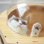 Arbre à Chat Bois Massif Luxe — Griffoir Tunnel Perchoir Premium Design 4