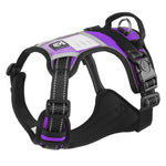 Harnais Gilet Poitrail Chien — Sangle Confort Sécurité Promenade Premium 9