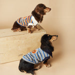 Polo Rayé Chien Tony Bear — T-Shirt Élégant Style Preppy Confort 3