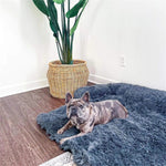 Lit Chien Moelleux — Coussin Confort Doux Repos Premium Toutes Saisons 4