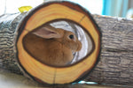 Tunnel Motif Arbre Chat & Chien — Jouet Interactif Design Nature Exploration 4