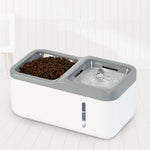 Fontaine Eau Automatique Intelligente Chat — Distributeur Filtrant Silencieux 4