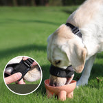 Muselière Chien Réglable — Anti-Morsure Anti-Aboiement Mousse Douce Confort 5