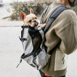 Sac à Dos Transport Chien — Portable Double Bretelle Voyage Outdoor 6