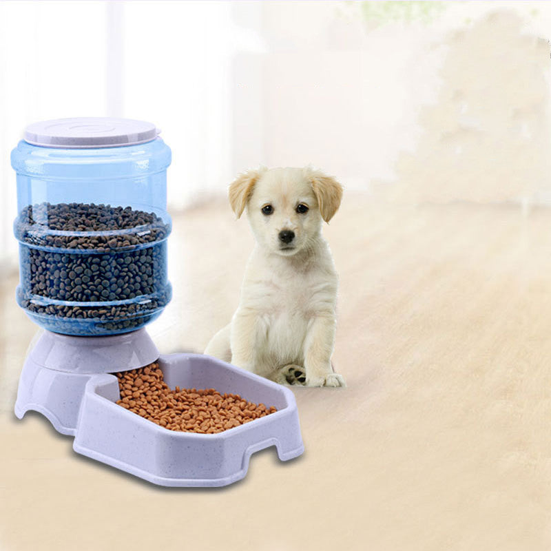 Distributeur Automatique Nourriture Fontaine Eau — Station Repas Chat Chien