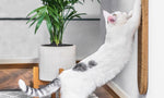 Tapis Sisal Chanvre Mural Chat — Griffoir Suspendu Naturel Anti-Effilochage 4