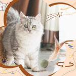 Jouet Catnip Plumes Chat — Lollipop Herbe à Chat Naturelle Compressée Kicker 3