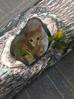 Tunnel Motif Arbre Chat & Chien — Jouet Interactif Design Nature Exploration 2