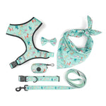 Harnais Laisse Chien Nœud Papillon — Élégant Confort Promenade Premium 3