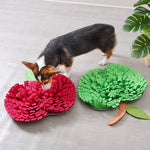 Tapis Sniff Slow Feeder Chien — Jouet Olfactif Anti-Glouton & Anti-Stress 3