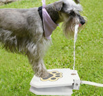 Fontaine Eau Extérieure Chien — Distributeur Automatique Outdoor Portable 3