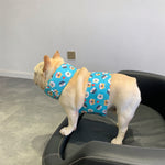 Bandana Rafraîchissant Chien Été — Écharpe Ice Cooling Protection Chaleur 2