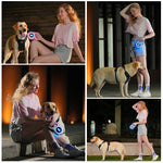 Laisse Rétractable Chien LED Automatique — Promenade Nocturne Sécurisée & Stylée 6