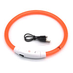 Collier LED Chien Lumineux USB Rechargeable — Sécurité Promenade Nocturne 8