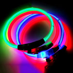 Collier LED Chien Lumineux USB Rechargeable — Sécurité Promenade Nocturne 2