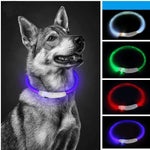 Collier LED Chien Lumineux USB Rechargeable — Sécurité Promenade Nocturne 1