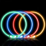 Collier LED Chien Lumineux USB Rechargeable — Sécurité Promenade Nocturne 6