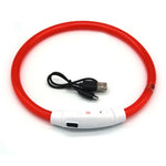 Collier LED Chien Lumineux USB Rechargeable — Sécurité Promenade Nocturne 10