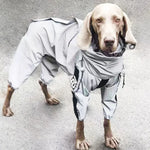 Combinaison Imperméable Chien Réfléchissante — Vêtement Pluie Soleil Toutes Tailles 1