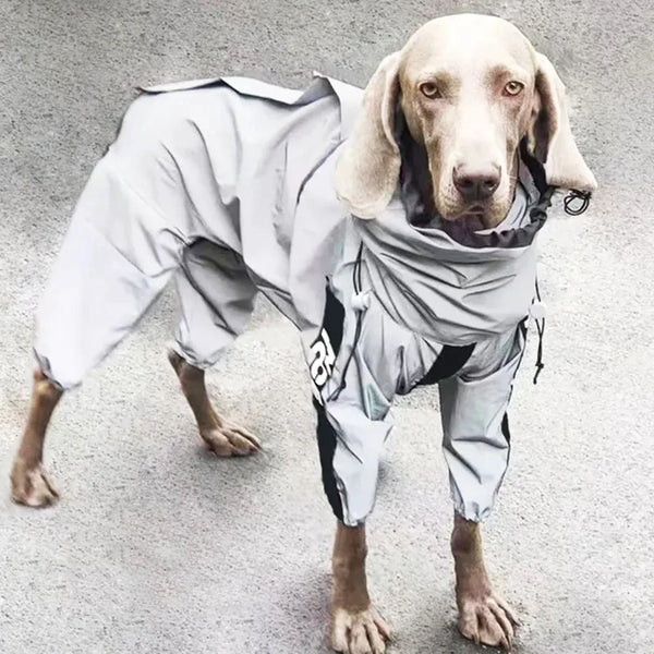 Combinaison Imperméable Chien Réfléchissante — Vêtement Pluie Soleil Toutes Tailles