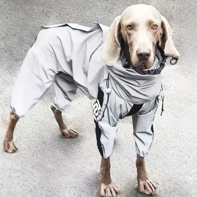 Combinaison Imperméable Chien Réfléchissante — Vêtement Pluie Soleil Toutes Tailles