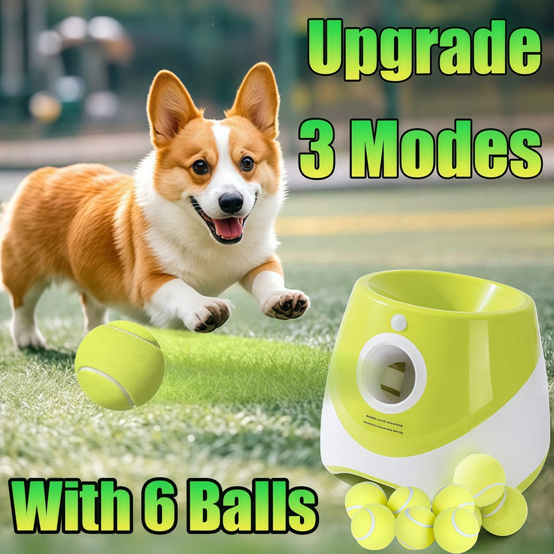 Lance-Balle Automatique Chien Rechargeable — Jouet Interactif Tennis