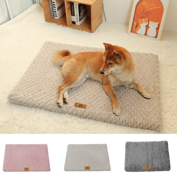 Lit Orthopédique Chien Mousse Mémoire Forme Housse Lavable Imperméable