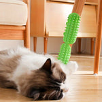 Peigne Massage Auto-Nettoyant Chat — Brosse Grattoir Mural Toilettage 1