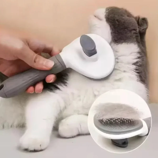 Brosse Démêloir Auto-Nettoyant Chien Chat — Toilettage Poils Longs Courts