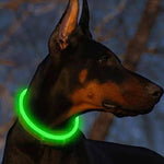 Collier LED Chien Lumineux USB Rechargeable — Sécurité Promenade Nocturne 4