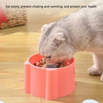 Bol Slow Feeder Anti-Glouton Chats Chiens — Protection Cou Digestion Saine 5