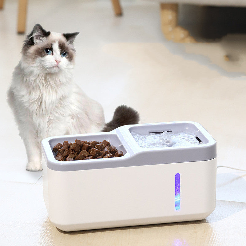 Fontaine Eau Automatique Intelligente Chat — Distributeur Filtrant Silencieux