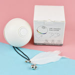 Balle LED Plumes Électrique Chat — Taquineur Automatique Rechargeable USB 5