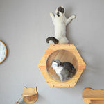 Arbre à Chat Bois Massif Luxe — Griffoir Tunnel Perchoir Premium Design 1
