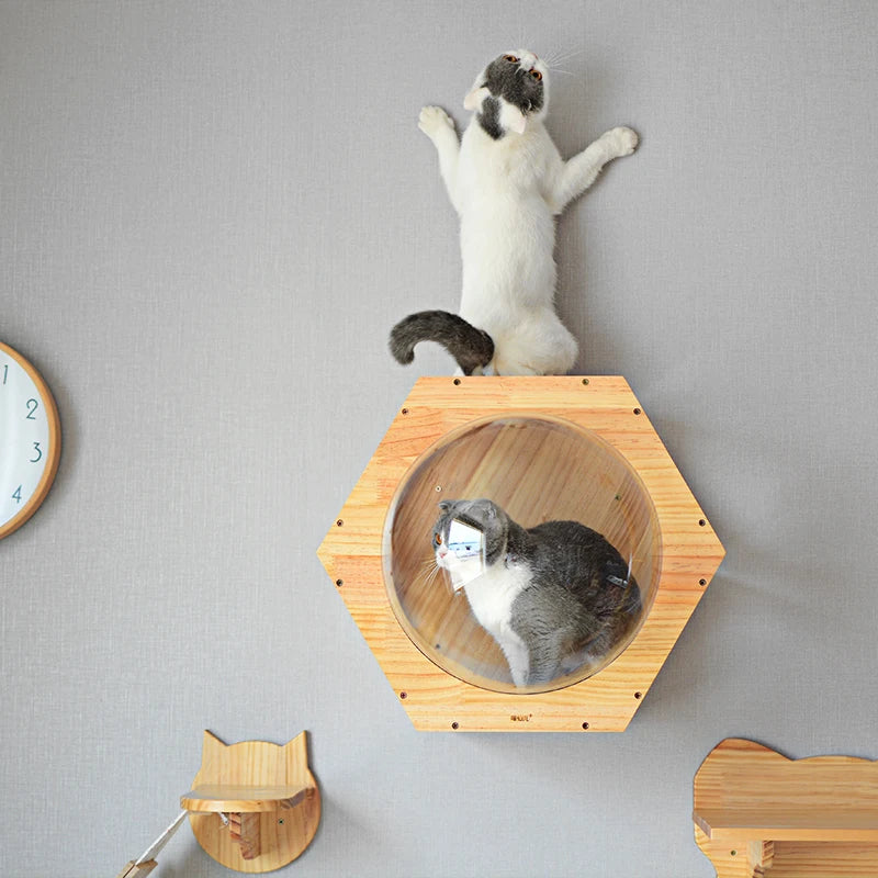 Arbre à Chat Bois Massif Luxe — Griffoir Tunnel Perchoir Premium Design