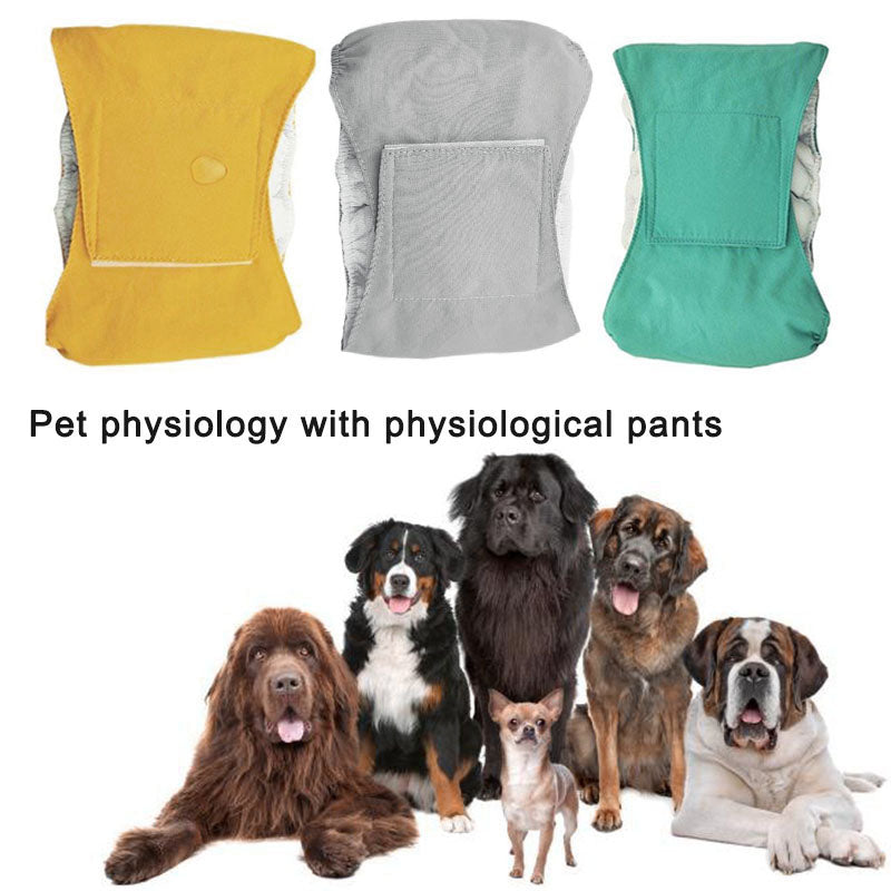 Couche Ceinture Chien Mâle Waterproof — Absorbante & Réutilisable