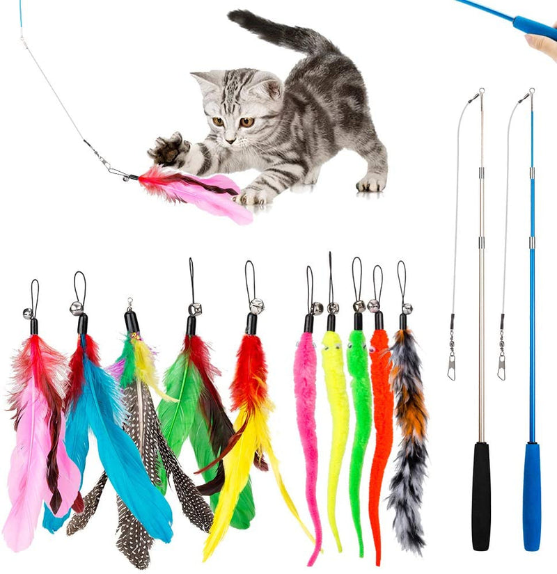 Canne à Pêche Chat 3 Sections — Kit Taquineur Plumes Télescopique Interactif