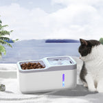 Fontaine Eau Automatique Intelligente Chat — Distributeur Filtrant Silencieux 6