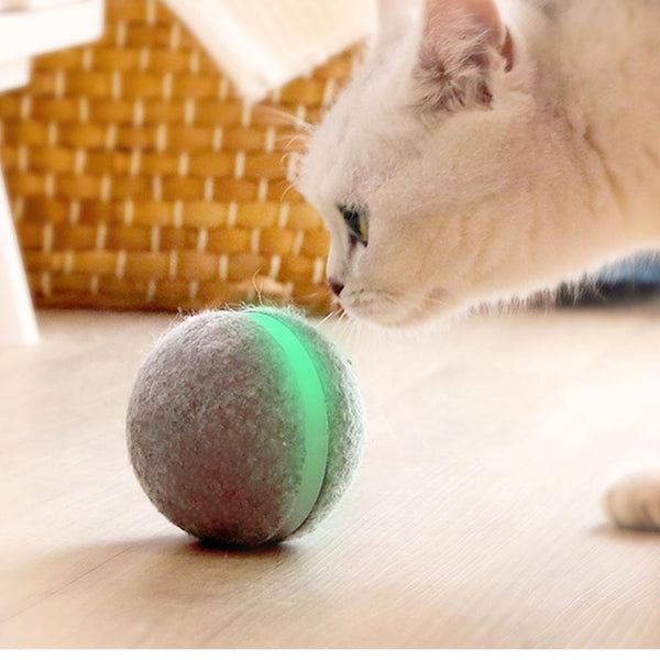Balle Rebondissante Chat — Jouet Interactif Saut Automatique Stimulation