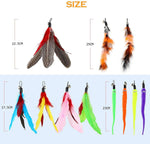 Canne à Pêche Chat 3 Sections — Kit Taquineur Plumes Télescopique Interactif 2